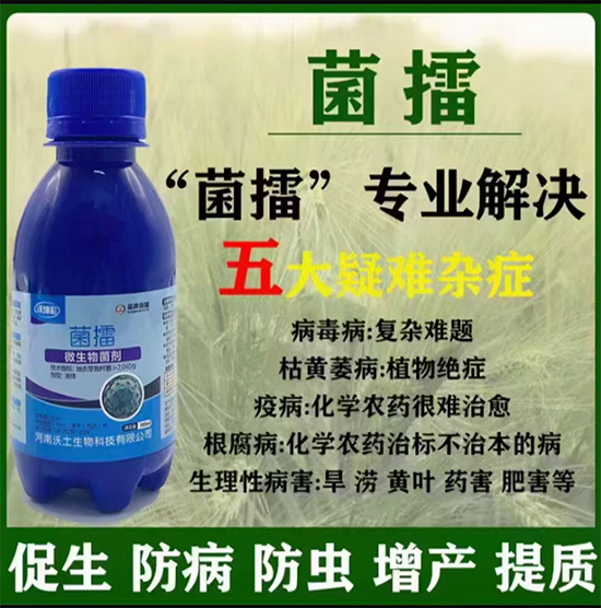 未标�?1.jpg