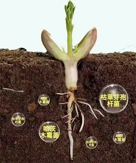 普美斯进出口（青岛）集团有限公司8.jpg