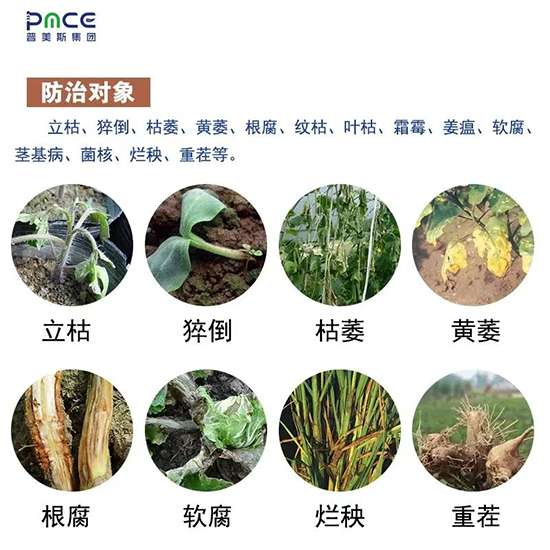普美斯进出口（青岛）集团有限公司7.jpg