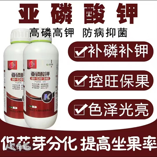 微信图片_20250630150014.jpg