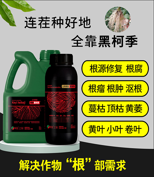 可以.jpg