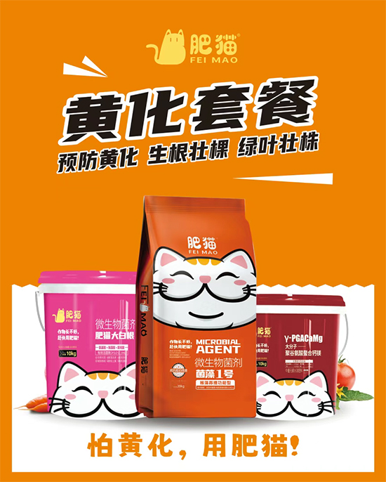 山东肥猫农业科技有限公司5.jpg