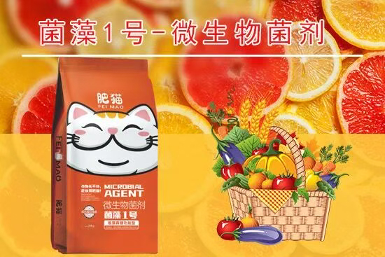 山东肥猫农业科技有限公司4.jpg