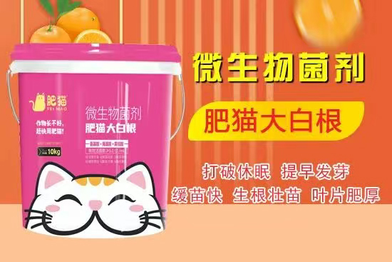 山东肥猫农业科技有限公司3.jpg