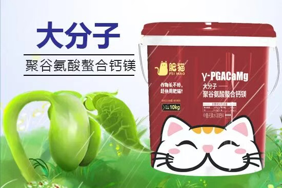 山东肥猫农业科技有限公司2.jpg