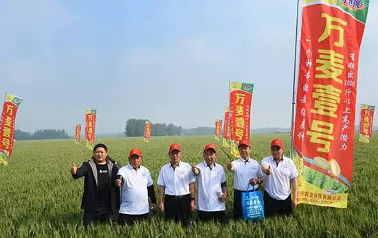 河南万担粮农业科技有限公司2.jpg
