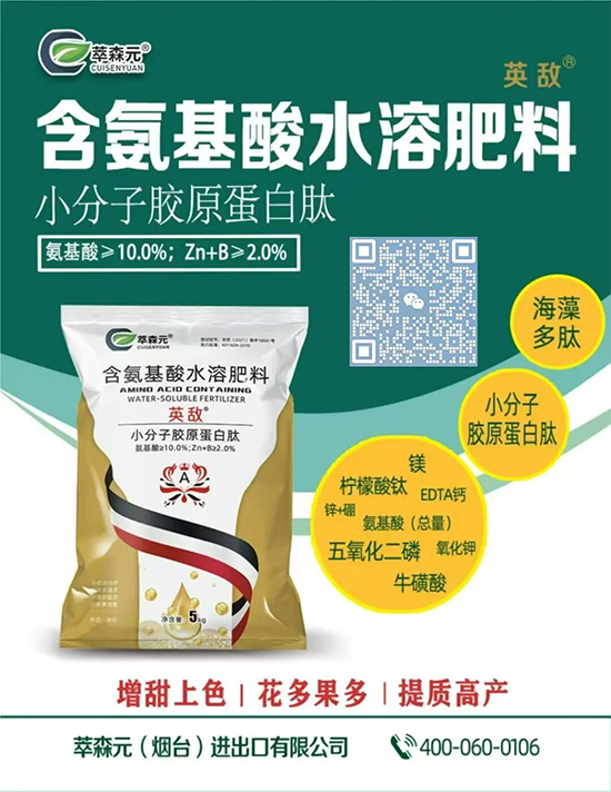萃森元（烟台）进出口有限公司2.jpg