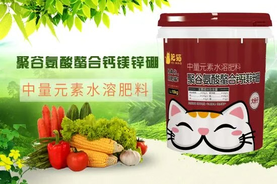 山东肥猫农业科技有限公司2.jpg
