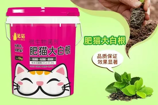 山东肥猫农业科技有限公司3.jpg