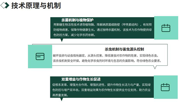 QQ截图20251224111324.jpg