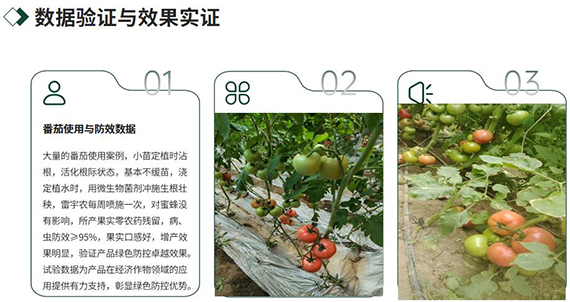 QQ截图20251224111352.jpg
