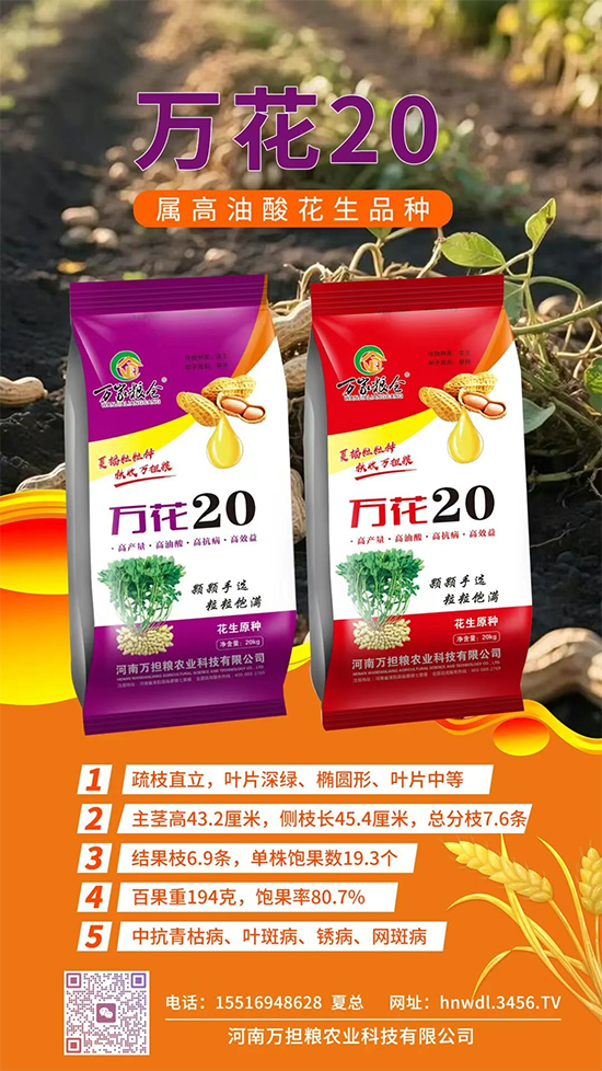 新疆中特煤腐植酸有限公司5.jpg