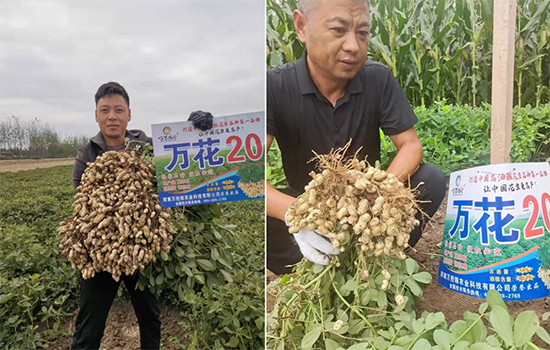新疆中特煤腐植酸有限公司4.jpg