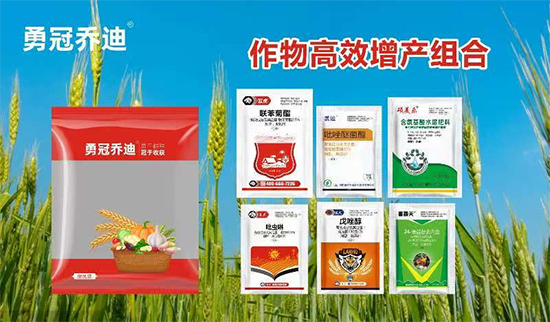 鍕囧啝涔旇开1.jpg 鍕囧啝涔旇开1.jpg
