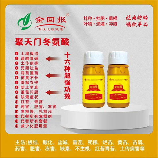 河南金回报农业科技有限公司4.png