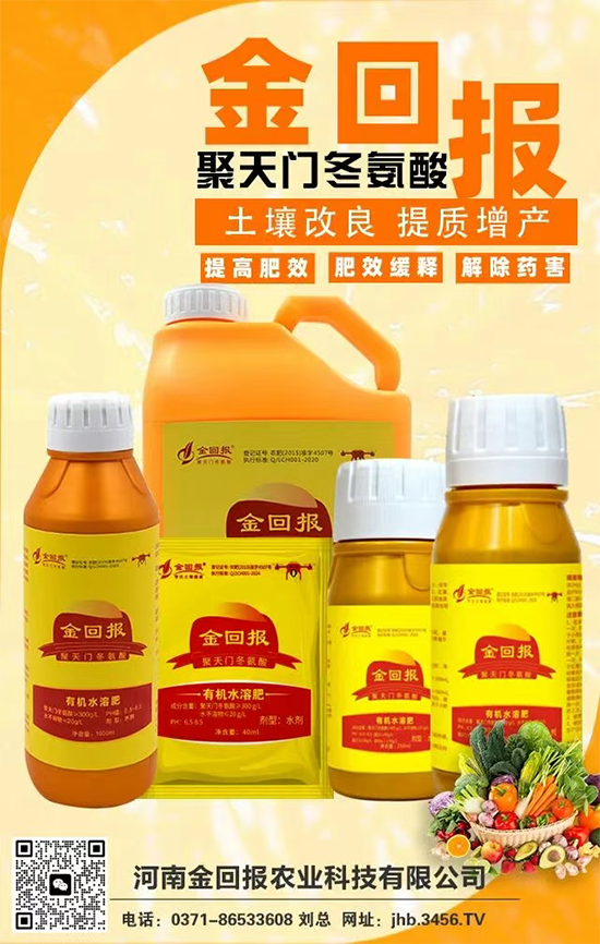 河南金回报农业科技有限公司3.png