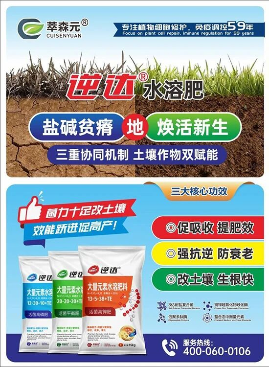 萃森元（烟台）进出口有限公司2.jpg