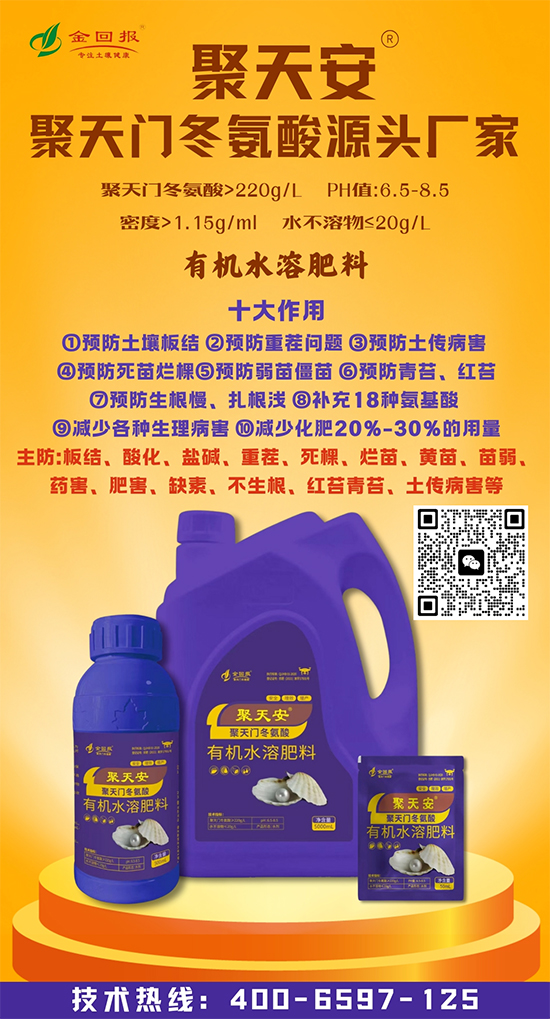 河南金回报农业科技有限公司3.jpg