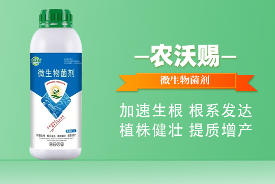 惜道（黑龙江）农业科技有限公司1.jpg