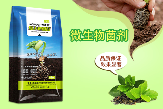 惜道（黑龙江）农业科技有限公司1.jpg
