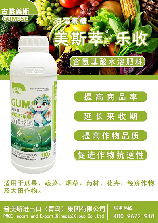 普美�?.jpg