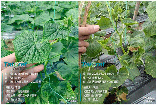 6392524257861626416301254.gif