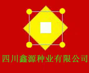 �Ĵ���Դ��ҵ���޹�˾