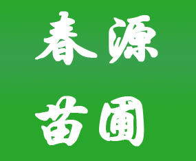 �ӱ�ʡ��Դ���Գ�