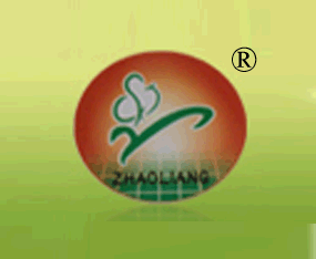 ���ز�ʢ�Ƽ���ҵ���޹�˾