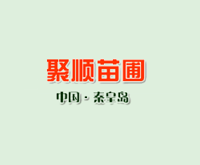 ��˳���Ի���
