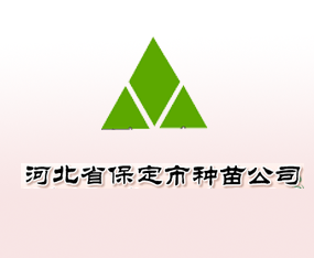�ӱ�ʡ���������繫˾
