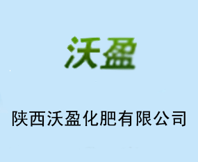 ��������ӯ����Ƽ��ɷ����޹�˾