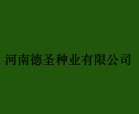 ���ϵ�ʥ��ҵ���޹�˾