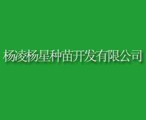 �����������翪�����޹�˾