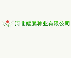 �ӱ�������ҵ���޹�˾