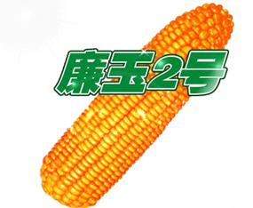 �ӱ��̷���ҵ���޹�˾