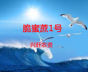 ۩������ũ�����޹�˾
