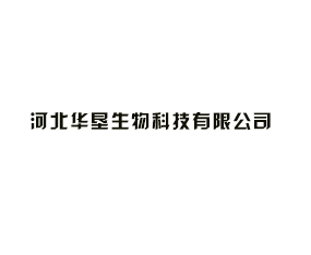�ӱ���������Ƽ����޹�˾