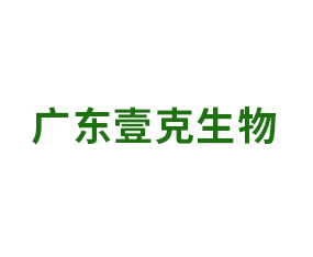 �㶫Ҽ������Ƽ����޹�˾