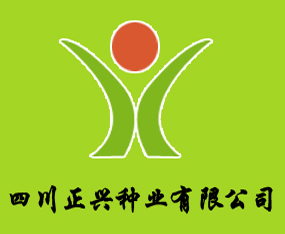 �Ĵ�������ҵ���޹�˾