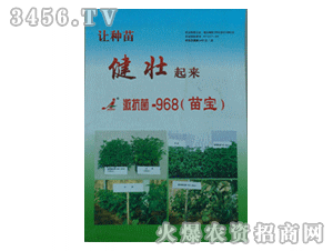 �Ӽ���-������968�籦