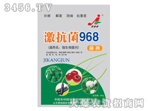 �Ӽ���-������968����(500g)