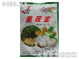 �Ӽ���-�ز籦(100g)