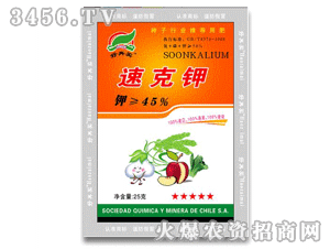 �������ٿ˼�(25��45%)
