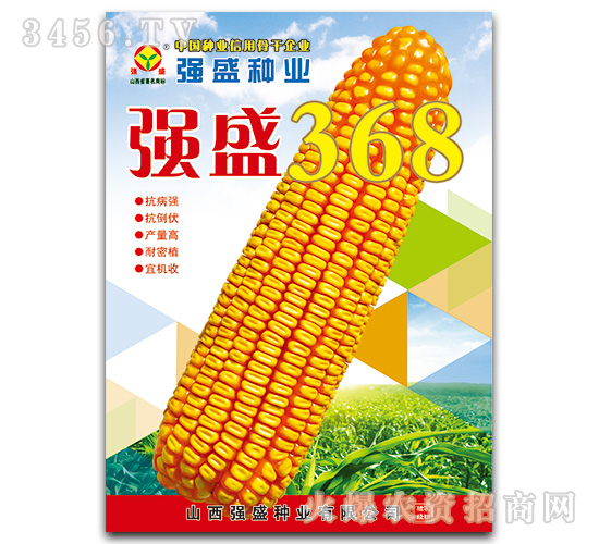 ǿʢ368-��������-ǿʢ��ҵ