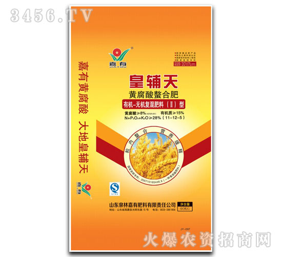 �л��޻��������-�ʸ���-����