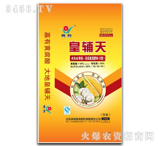 �л�-�޻������10-10-10-�ʸ���-����