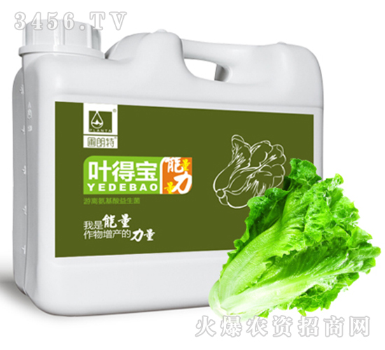 ���백����ˮ�ܷ�-Ҷ�ñ�-������