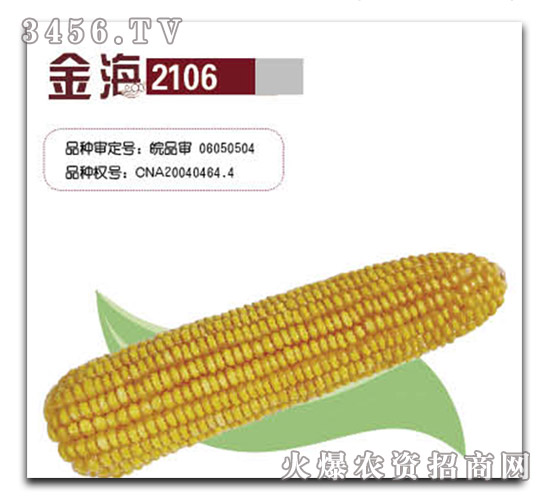 ��2106������-����ҵ