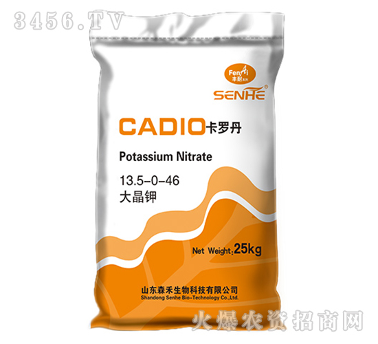 �󾧼�13.5-0-46-���޵�-ɭ��